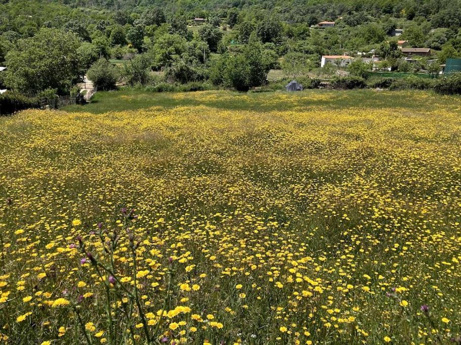 Atico Mirador Del Pielago El Real de San Vicente 외부 사진